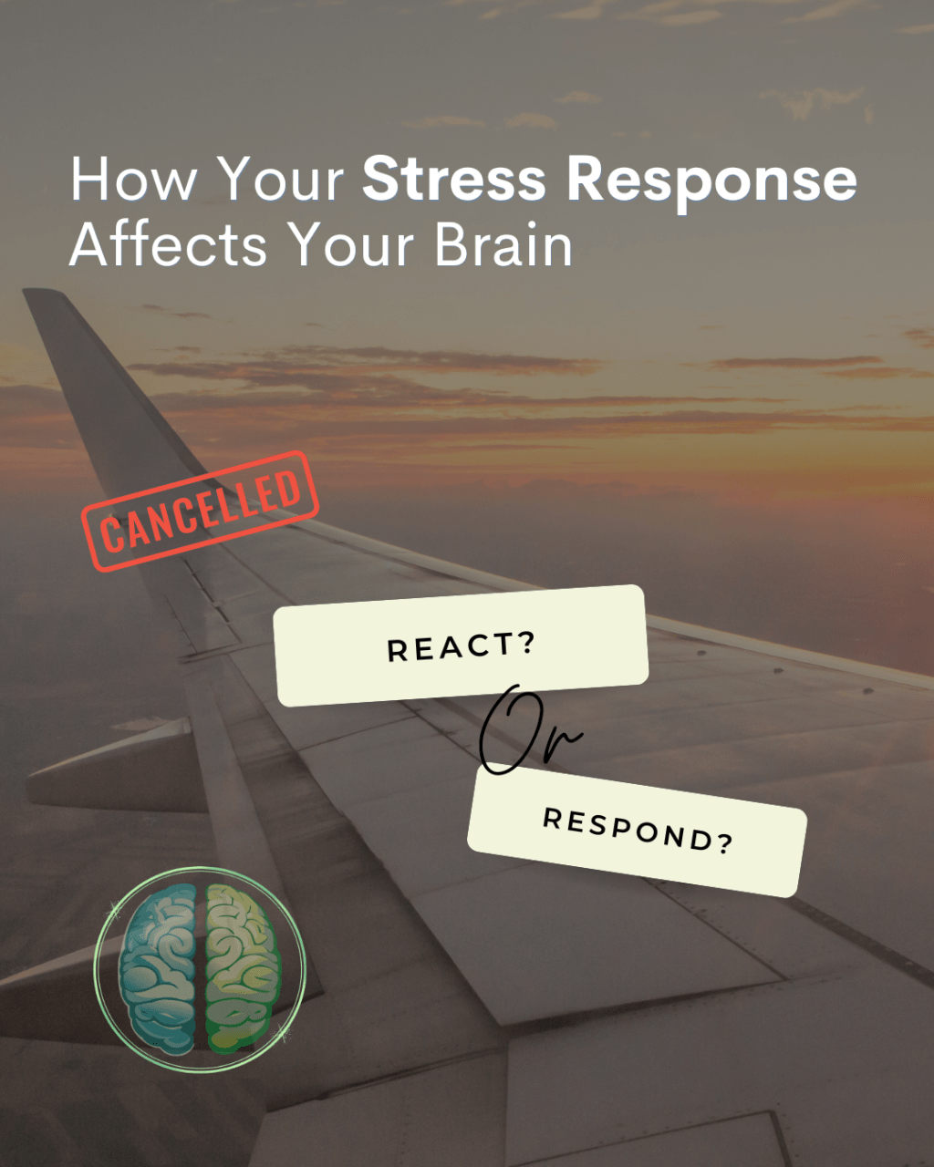 🌟[TT] What Matters Most&nbsp;🧠