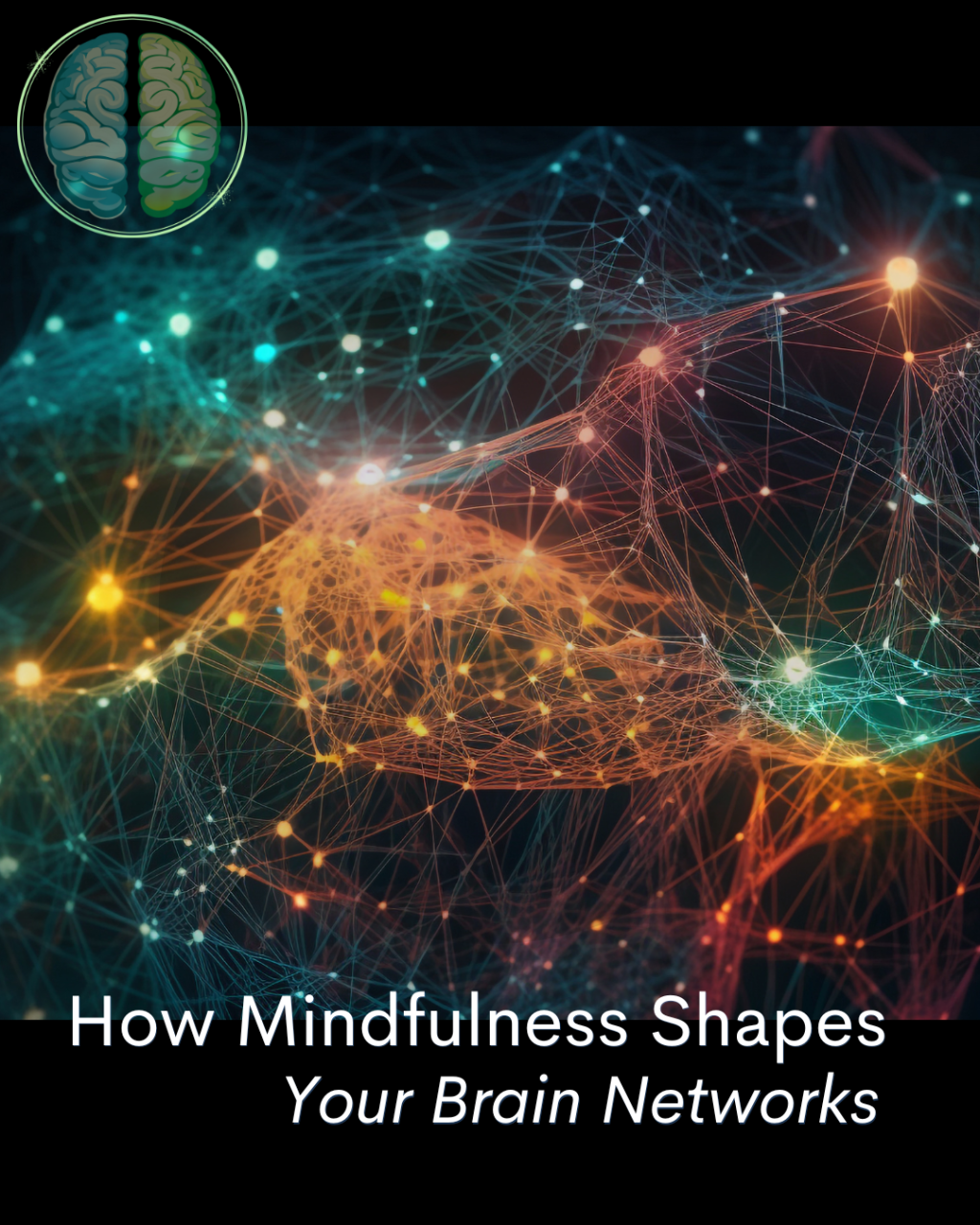 🌟[TT] brain 🧠&nbsp;networks