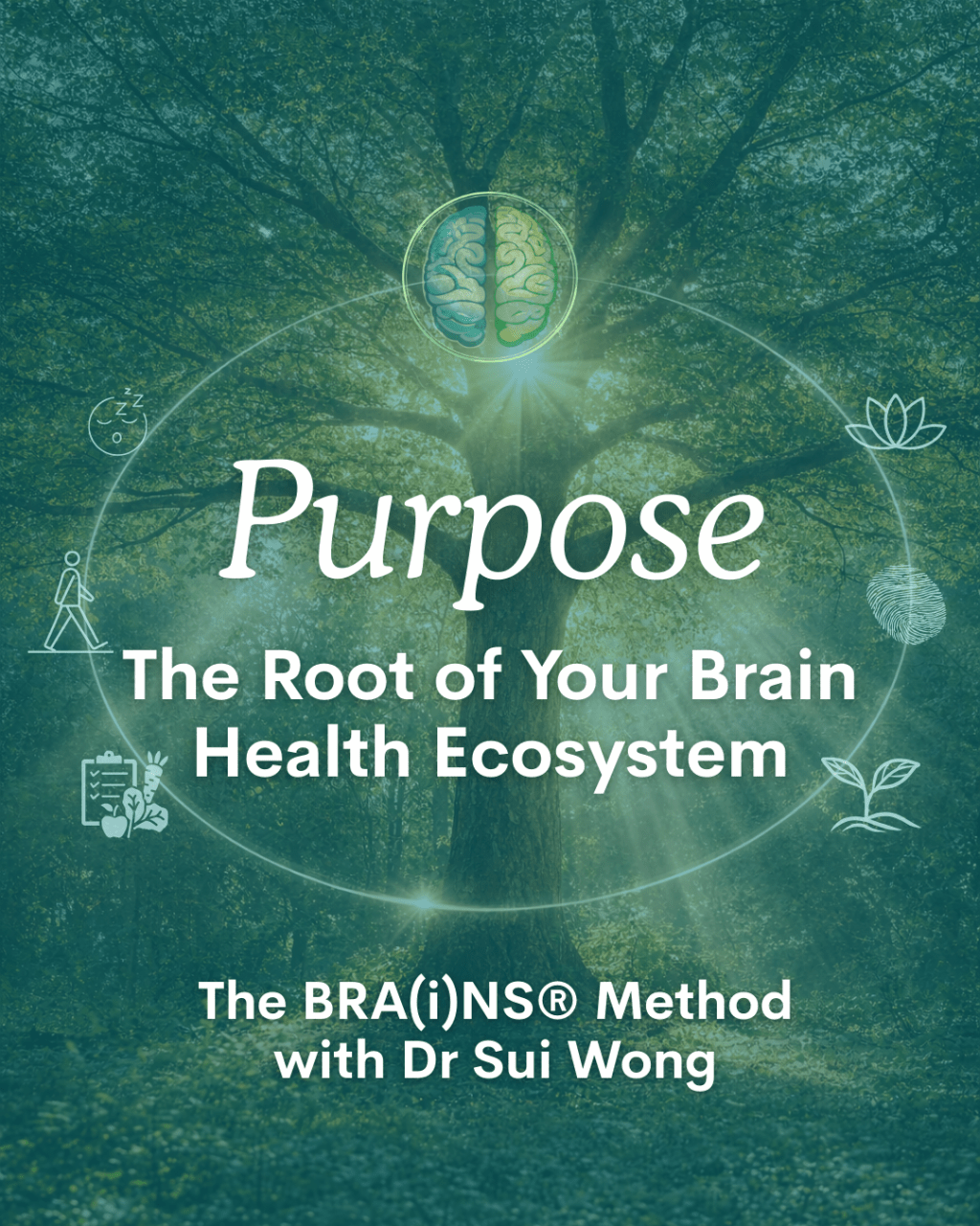A large tree with sunlight shining through the branches in a green forest. In the center is a brain icon with a glowing circular line around it. Small icons around the circle represent elements of brain health, including sleep, mindfulness, movement, identity, nutrition, and growth. Text reads: “Purpose – The Root of Your Brain Health Ecosystem” and “BRA(i)NS® Method.”
