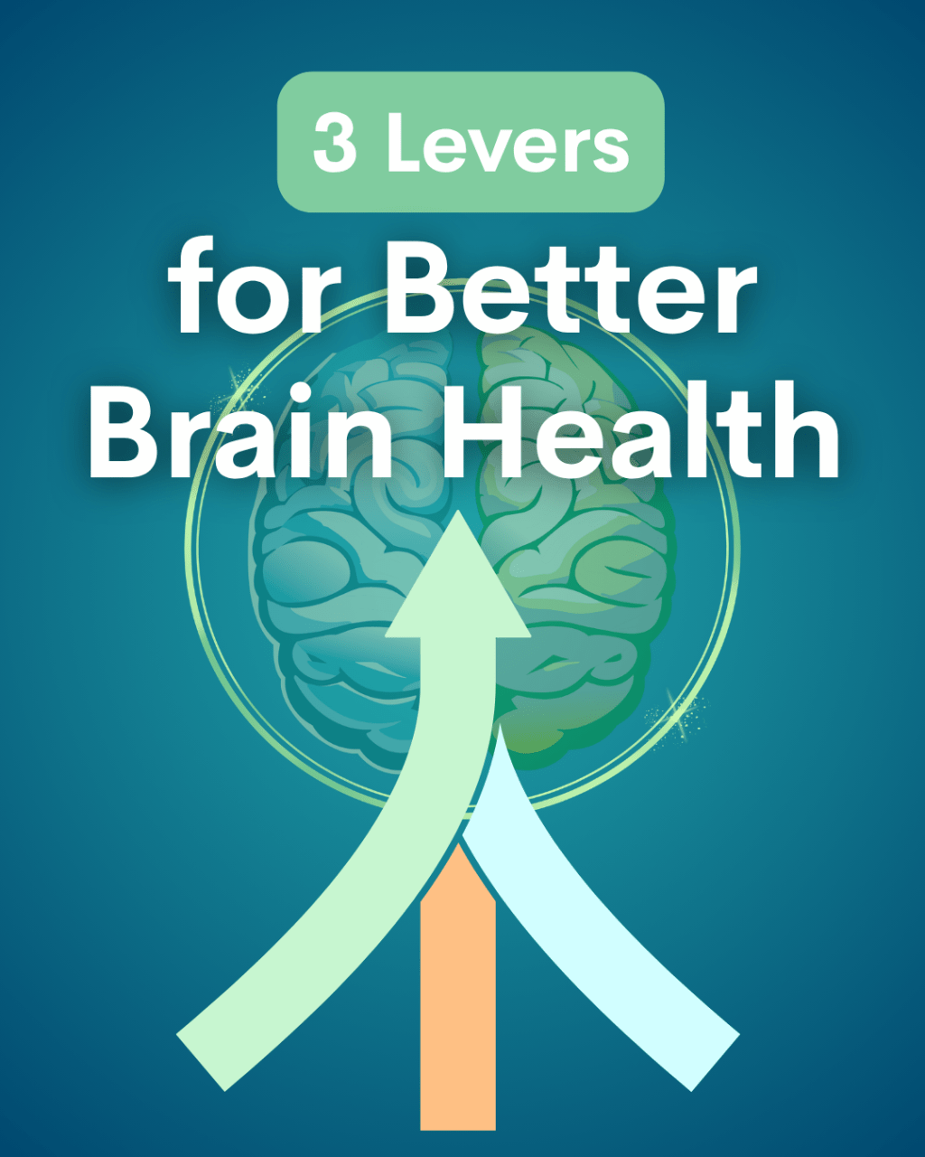 Brain health graphic with three directional paths symbolising different personalised approaches to improving brain health habits