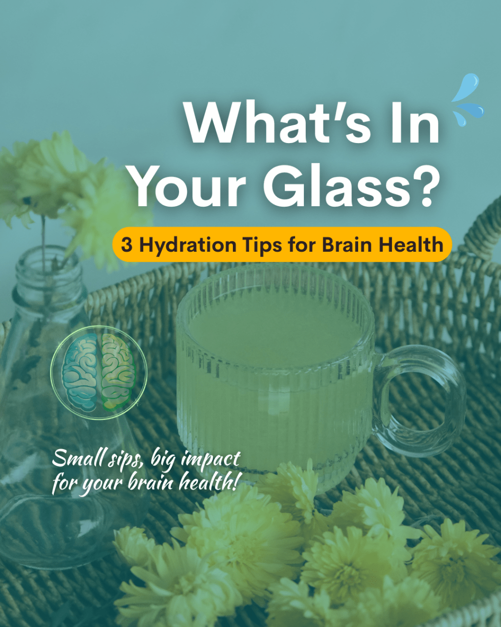Steady Sips: 3 Hydration Tips for Brain&nbsp;Health