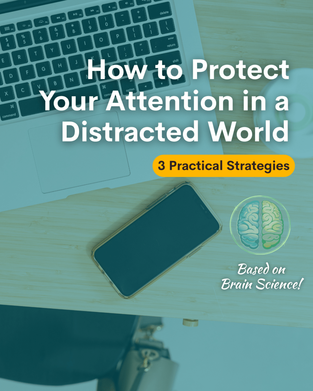 How to Protect Your Attention in a Distracted&nbsp;World