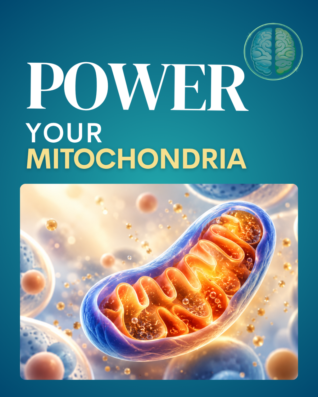 Power Your Mitochondria” graphic featuring a detailed 3D illustration of a mitochondrion with glowing orange inner folds surrounded by cellular structures, alongside a brain health icon on a teal background.